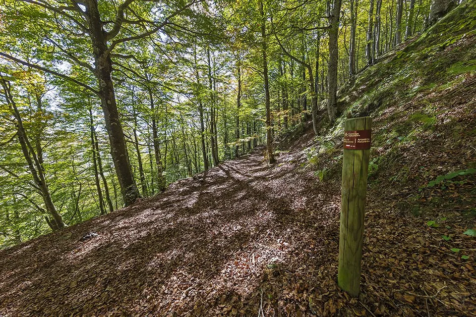 Experiencias en la naturaleza