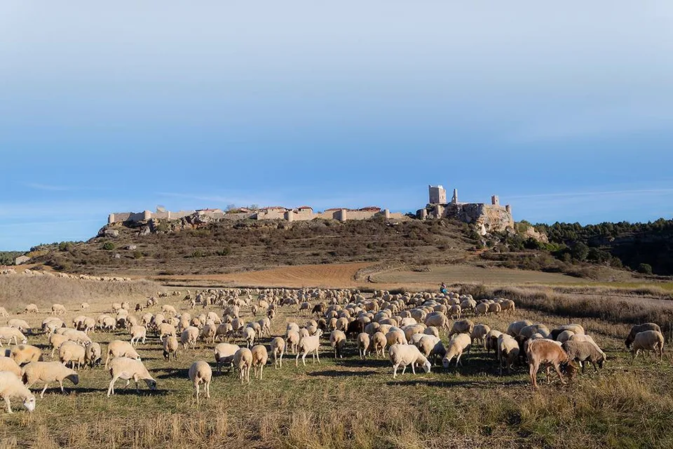 Turismo de naturaleza, turismo rural