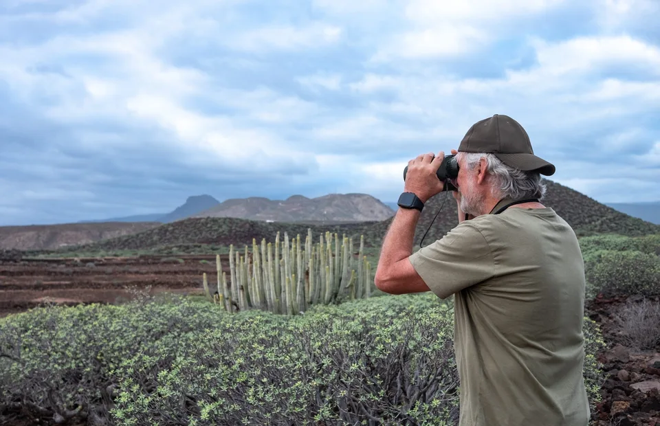observación de aves