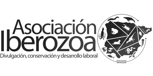 Logotipo de expositor
