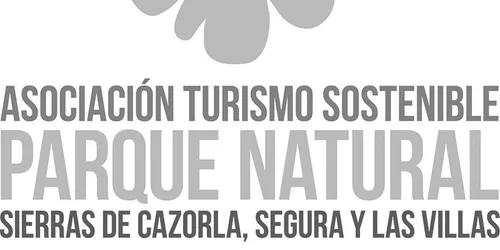 Logotipo de expositor