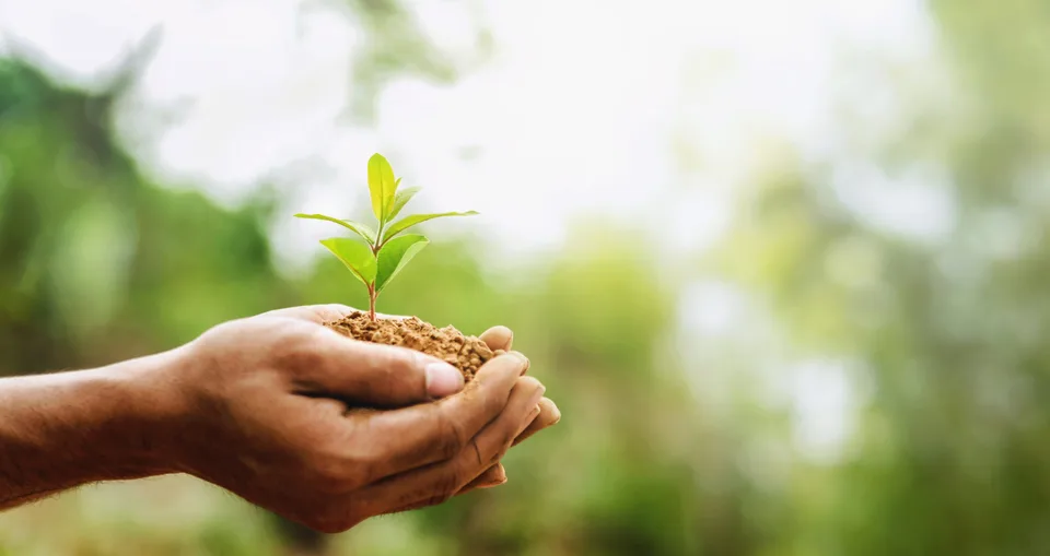 Desarrollo rural sostenible y destinos vivos