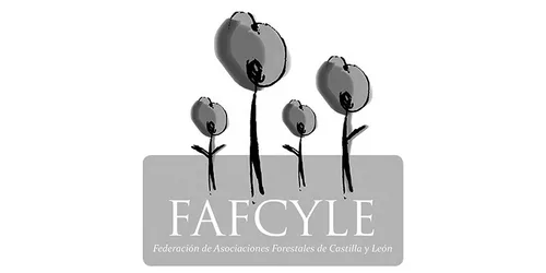 Logotipo de expositor