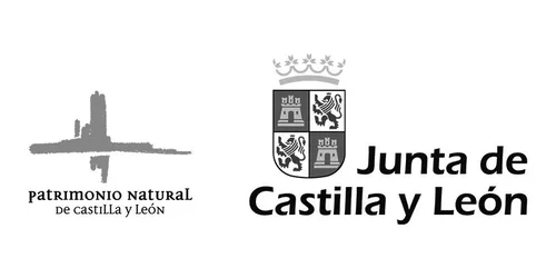 Logotipo de expositor