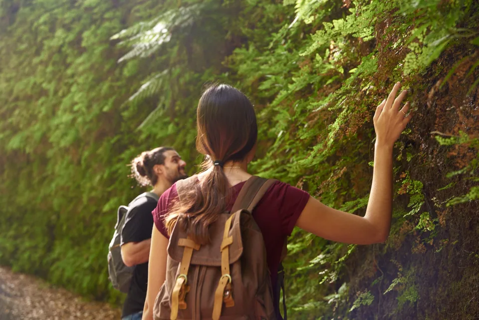 Impacto positivo neto en turismo regenerativo