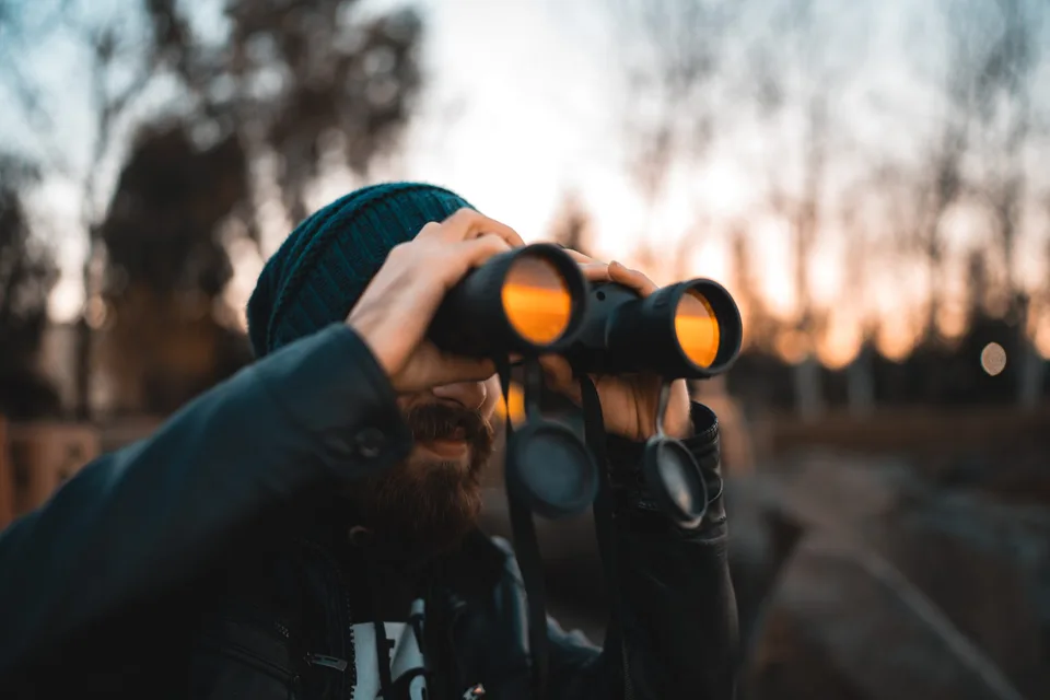 observar pájaros, birding, aves