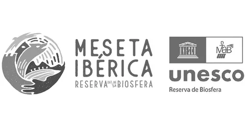 Logotipo de expositor
