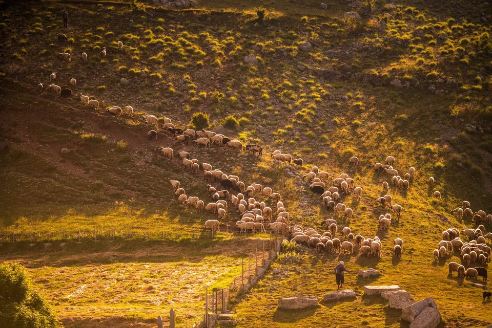 ecoturismo, turismo sostenible