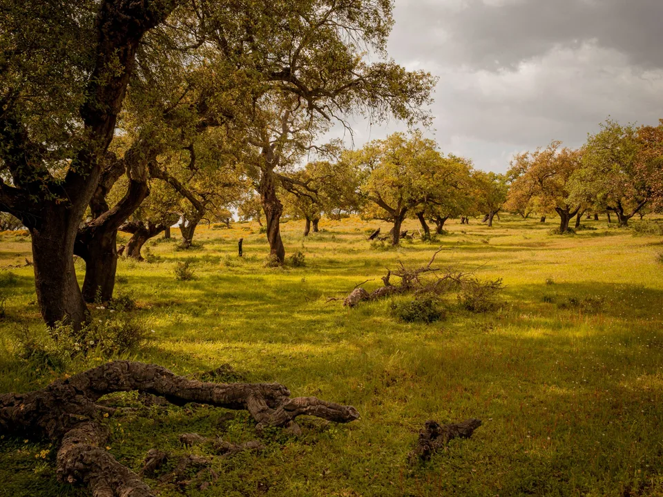 turismo de naturaleza