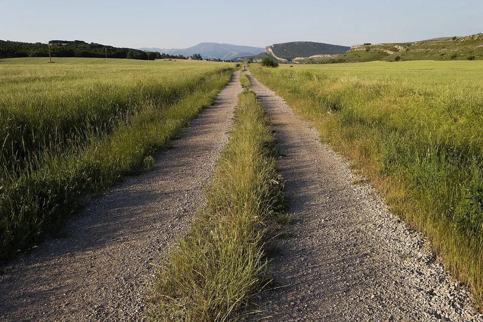 Camino de tierra entre campos de cereal hacia unos páramos calizos, invitación a viajar despacio propia del slow tourism