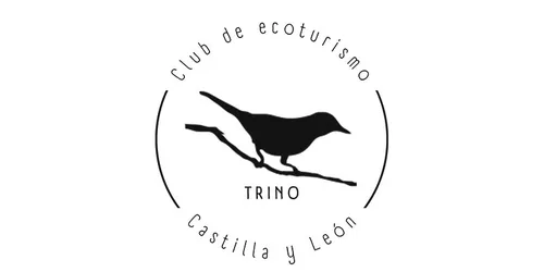 Logotipo de expositor